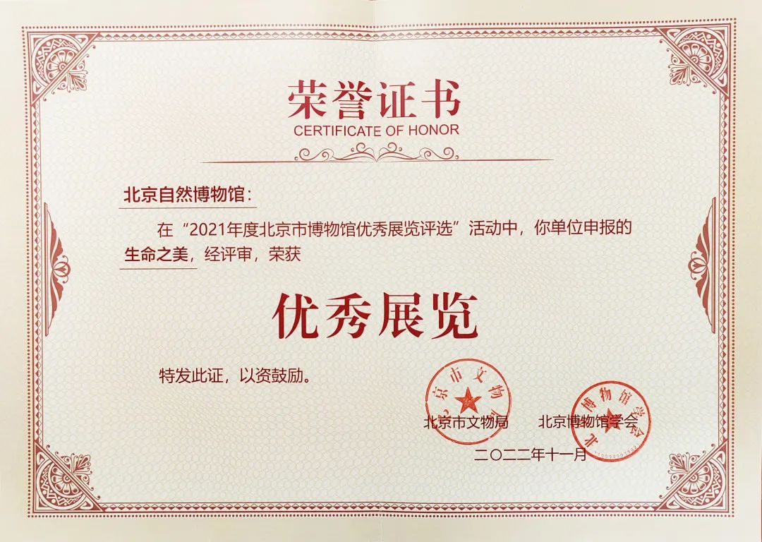 喜讯丨千里驹作品荣获“2021年度北京市博物馆优秀展览奖”(图1)